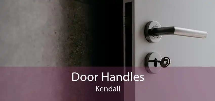 Door Handles Kendall