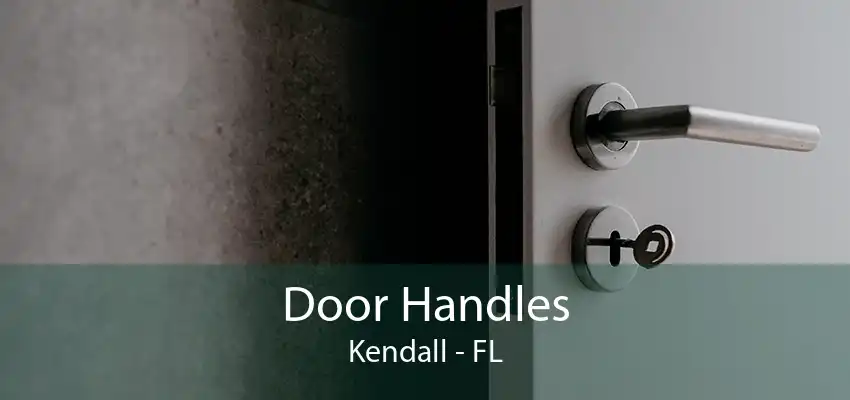 Door Handles Kendall - FL