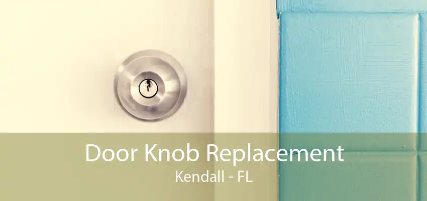 Door Knob Replacement Kendall - FL