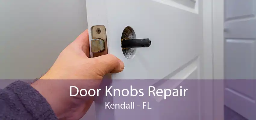 Door Knobs Repair Kendall - FL